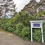 Villa Jugendglueck - Gelbe Rose